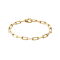 Bracciale Cartier Santos de Cartier, Catena, Modello Medio, Oro Giallo