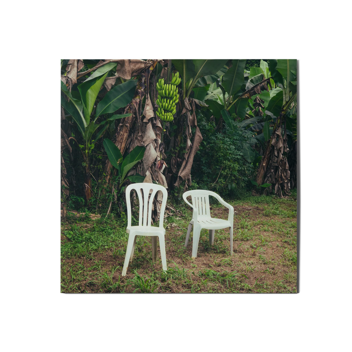 Bad Bunny DeBÍ TiRAR MáS FOToS Double Vinyl Gatefold