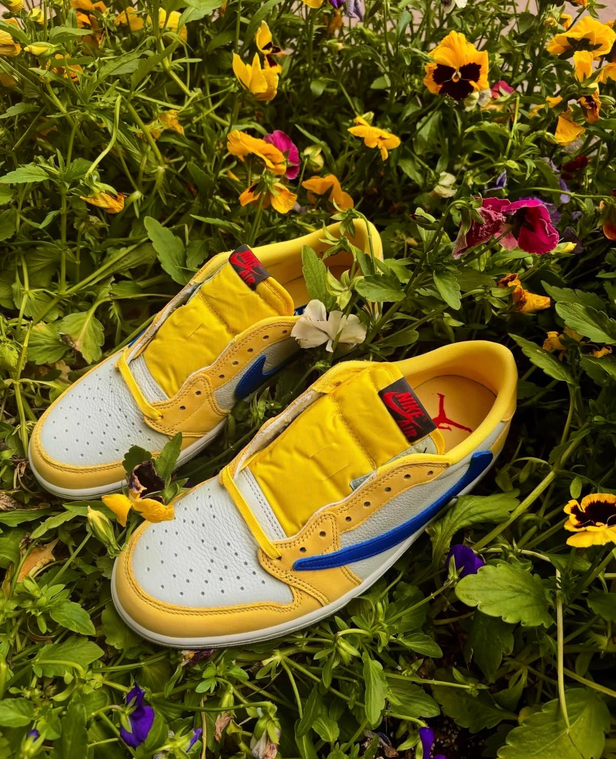 EVERY PAIR.VERIFIED.
