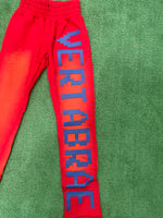 Vertabrae C-2 Sweat Pants Washed (Red & Blue) - Image 7