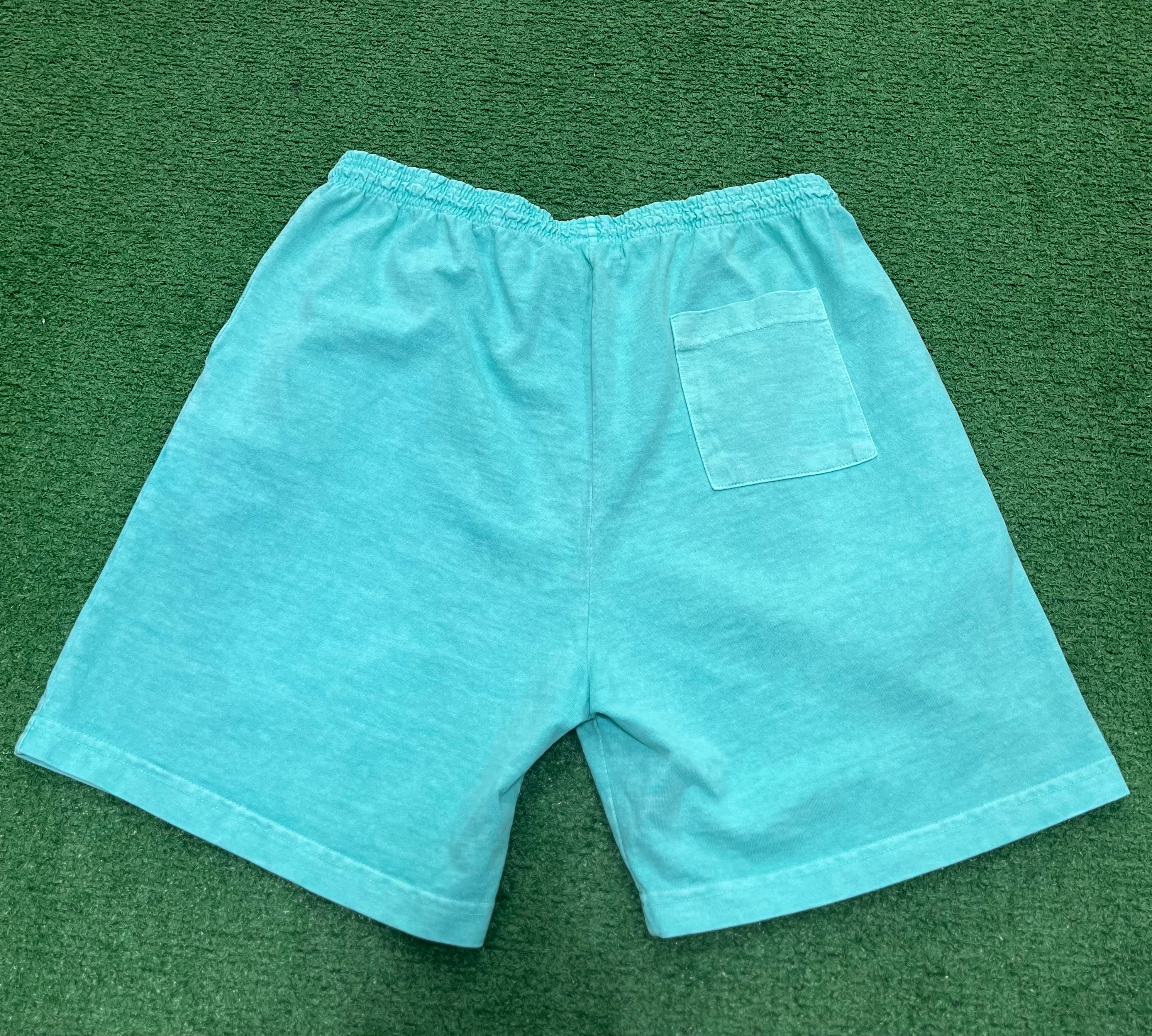 Psychworld Teal Canvas Shorts Pink Logo, Shorts - Supra Sneakers