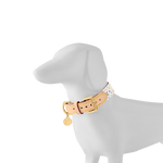 Louis Vuitton x Takashi Murakami Monogram Multicolor Dog Collar PM White Multicolored - Image 4