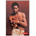 Supreme Al Green 贴纸